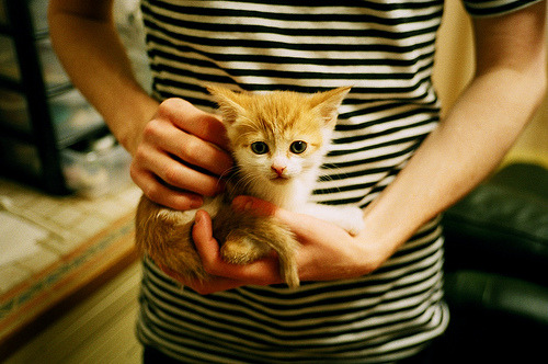 爱游戏体育-从雅典到华沙的逆袭之路，当希腊神话在波兰的土地上绽放—孔德一箭穿心，不仅刷新了纪录，更改写了游戏规则