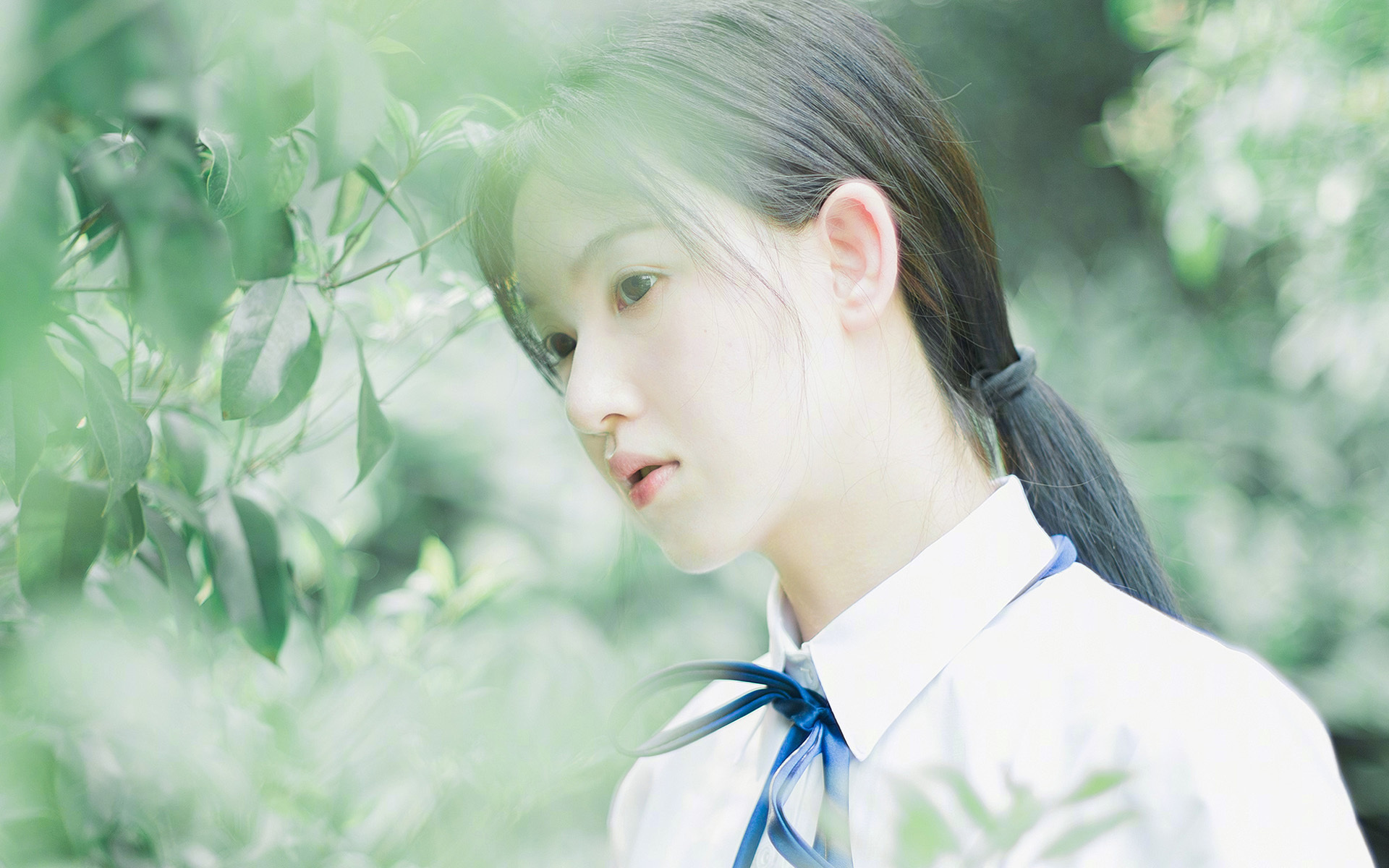 横扫的意义，从尼克斯大胜到字母哥的火热，看竞技体育的层次感