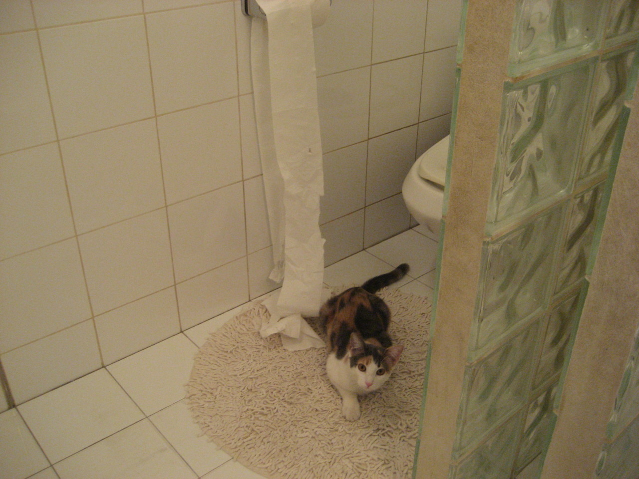 文化摆渡人帕尔默，中尼合作背后的关键先生