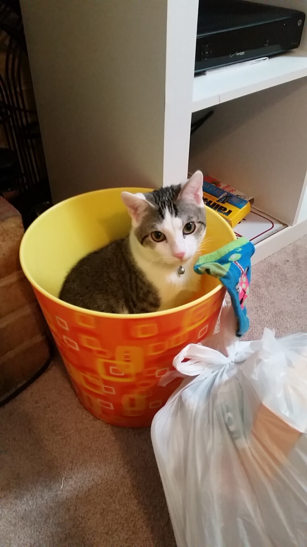 劲射如虹定乾坤,铁壁惊雷压敌锋—卡瓦哈尔一箭穿心助丹麦险胜几内亚