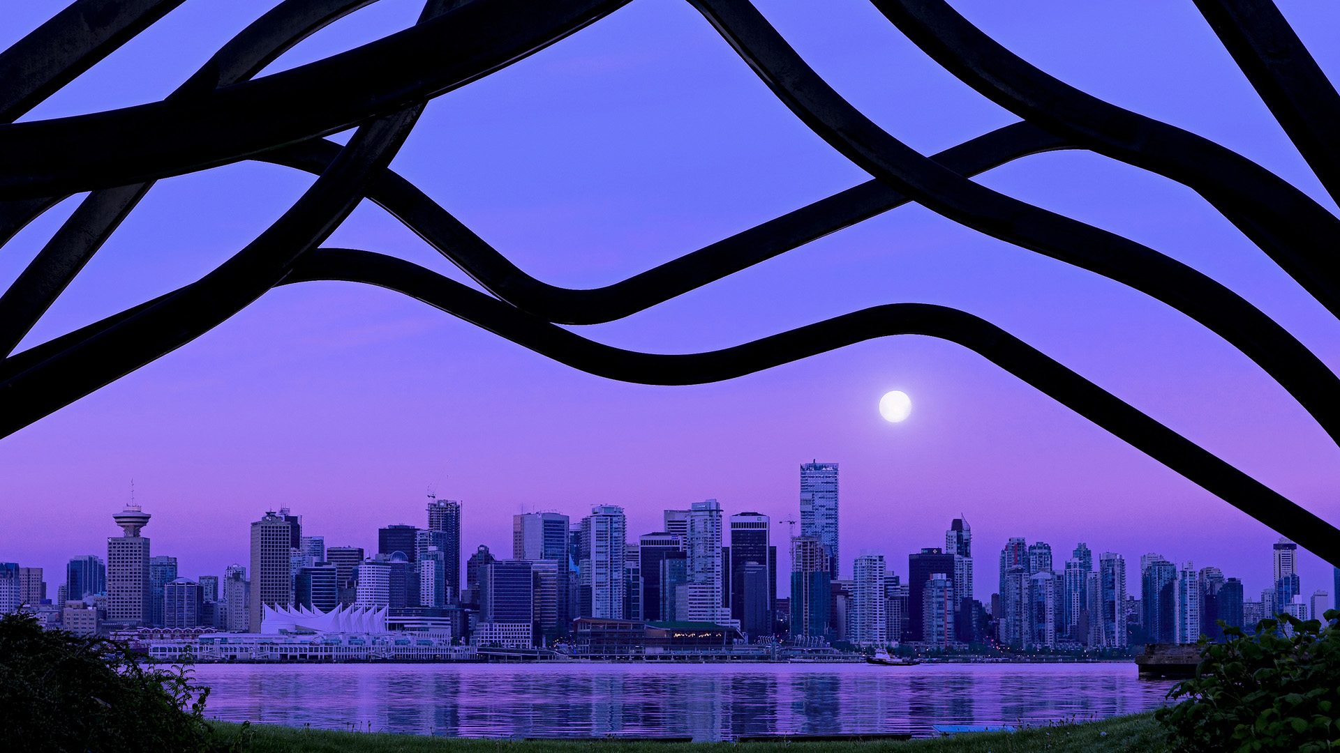 独舞者的圆舞曲,当个体节奏成为全队脉搏