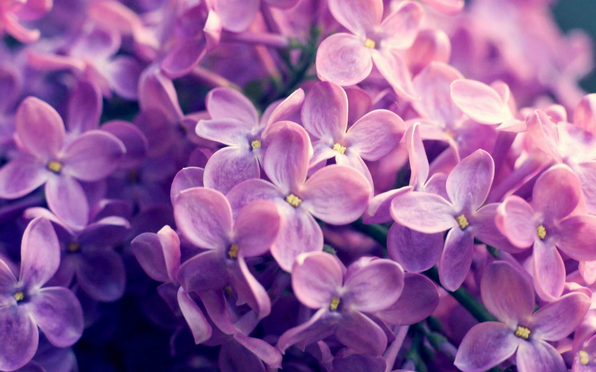 京多安一脚定乾坤与南非一棋破重围，于无声处听惊雷的破局艺术