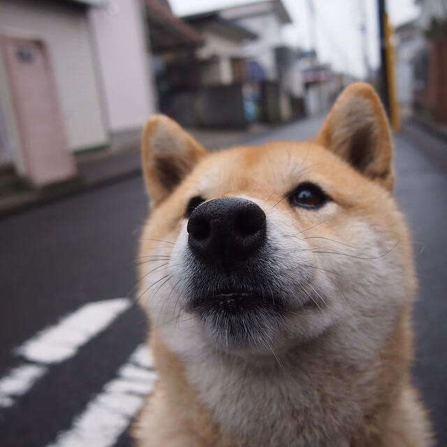 双线焦点从美加墨世界杯到CBA爆冷，山西的夜晚，足球与篮球共写奇迹