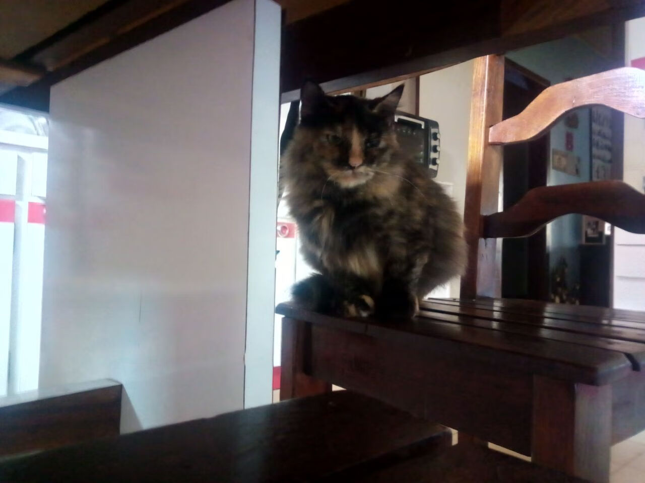 绝境魔笛，抢七之夜，迪马利亚将喧嚣踩于足下的寂静统治