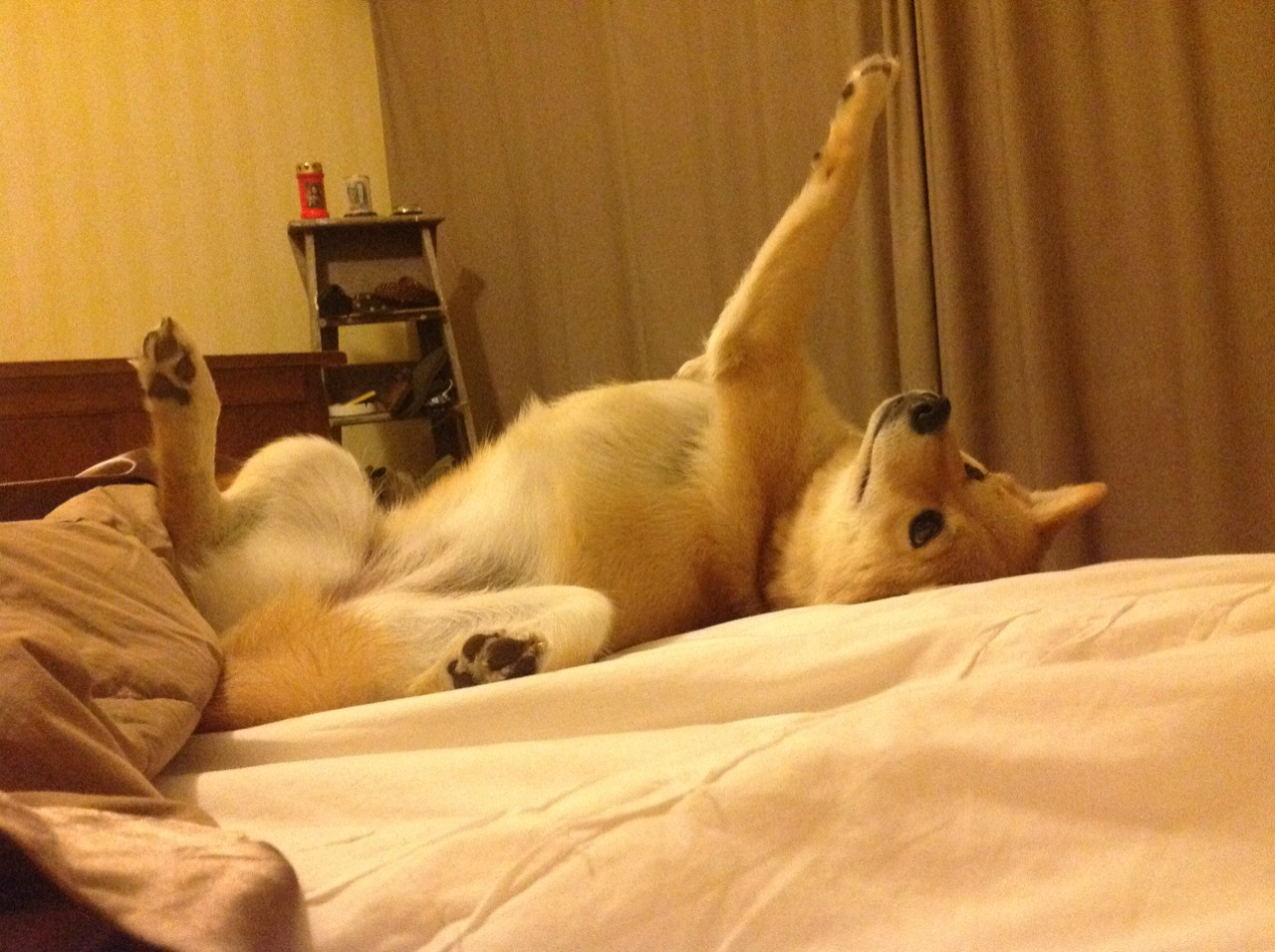 连续压制与个体掌控，现代足球的双重胜利法则