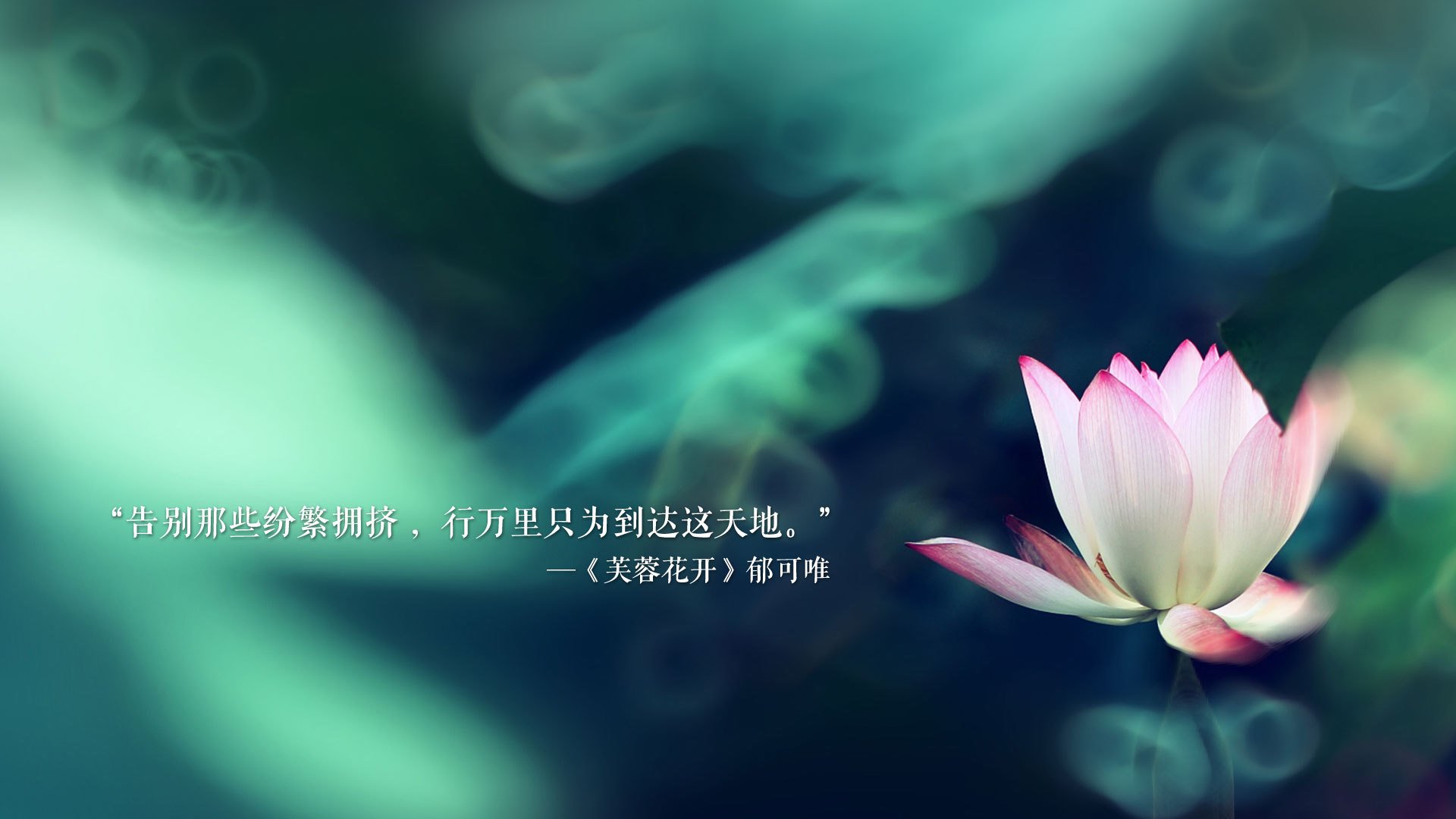 沙漠之火引爆宿命对决,2026世界杯B组,伊朗铁骑踏碎厄瓜多尔,罗德里戈独舞定乾坤